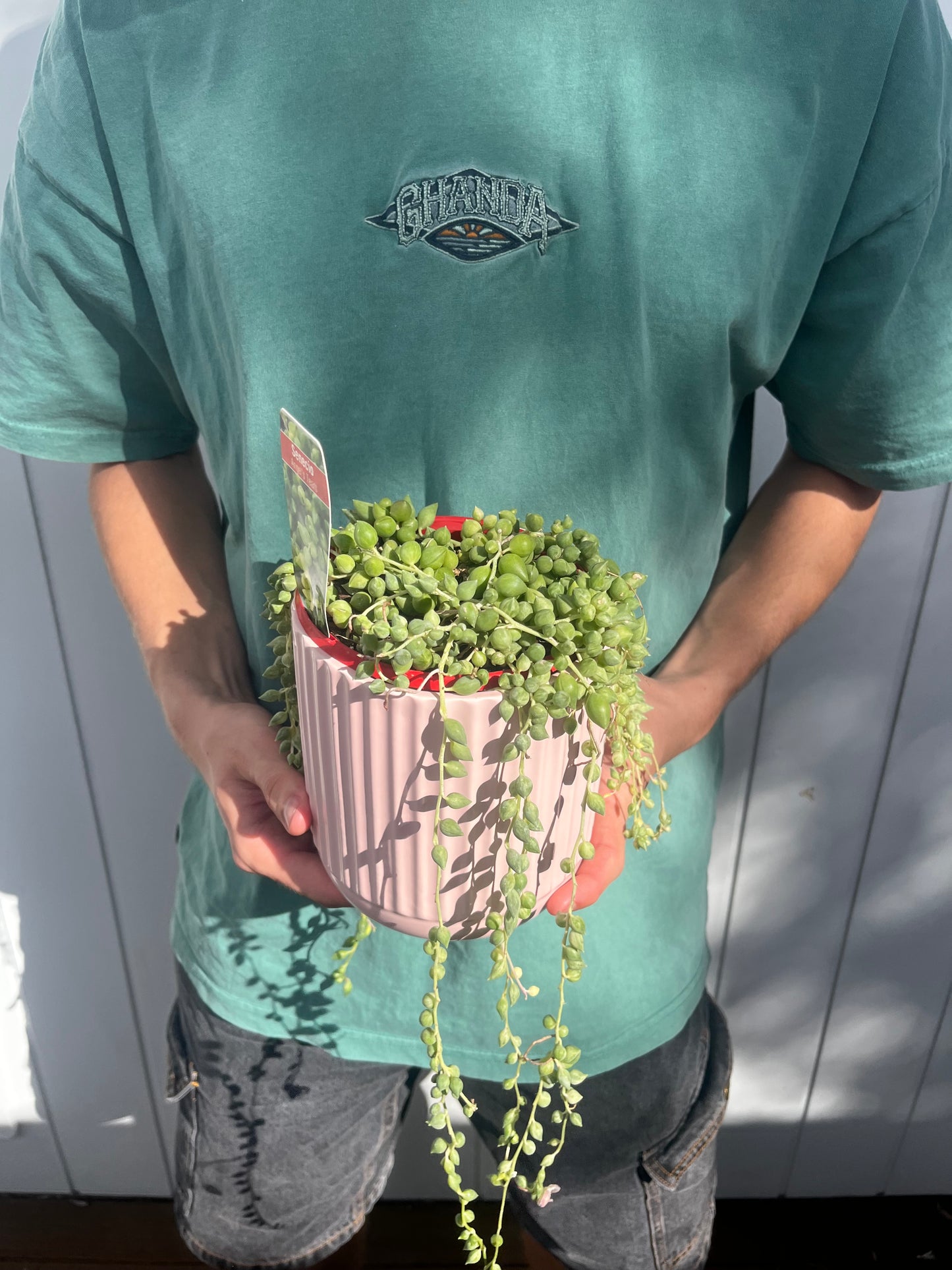 String of pearls
