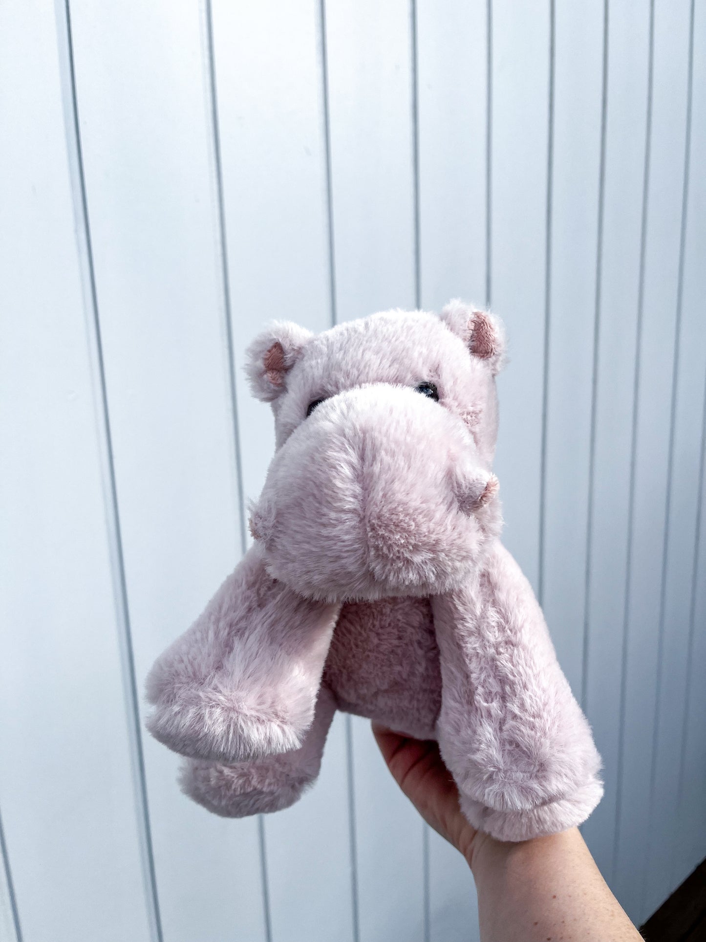 Teddy Hippo