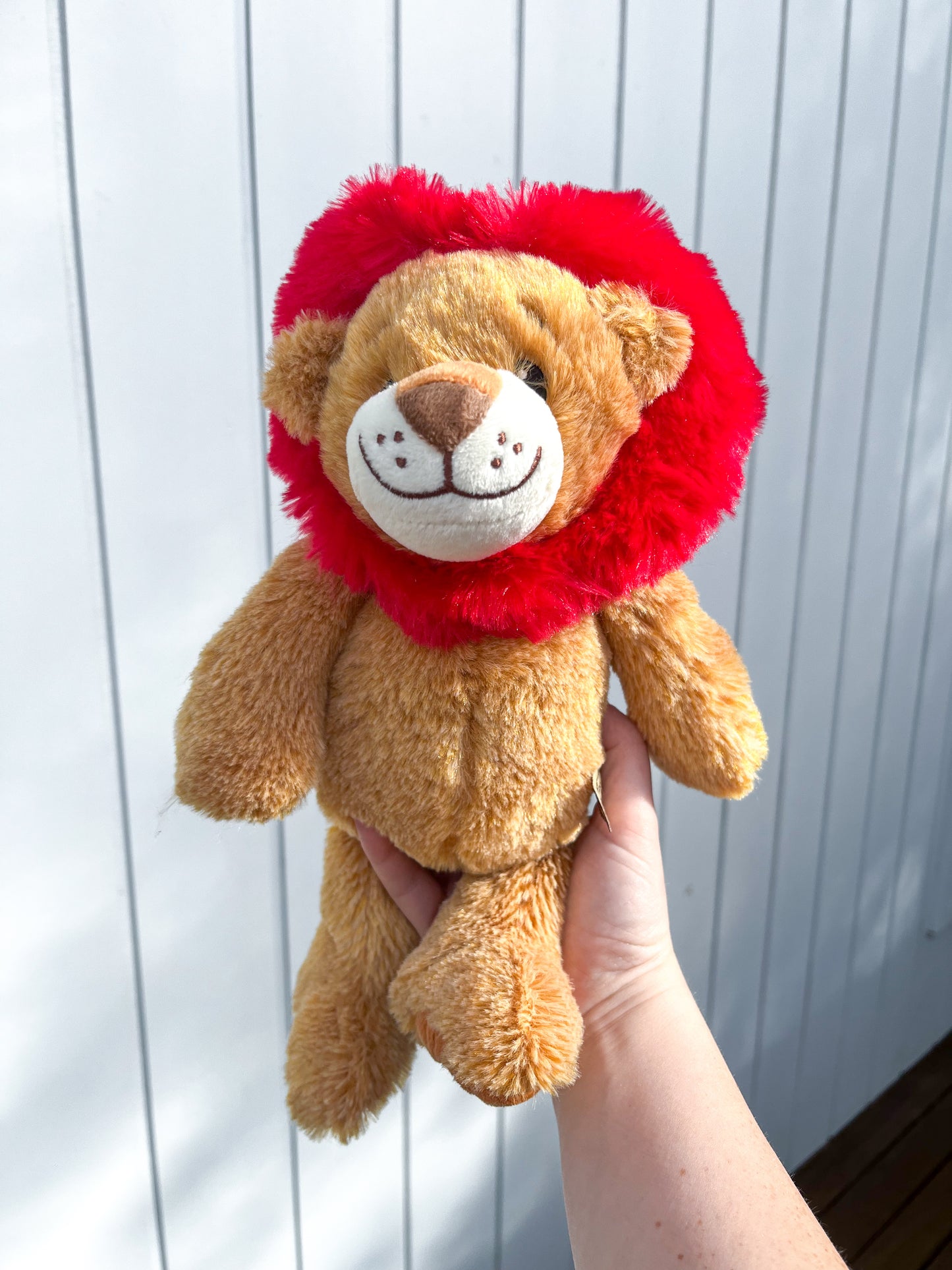 Teddy Lion