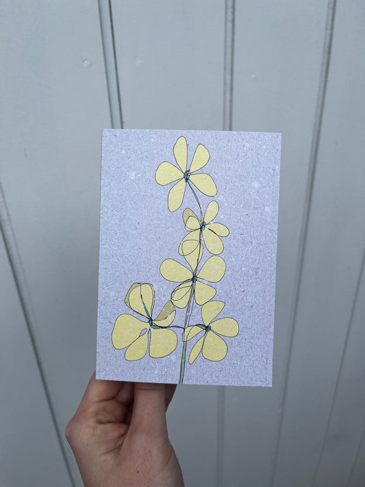 Canola Flower Card