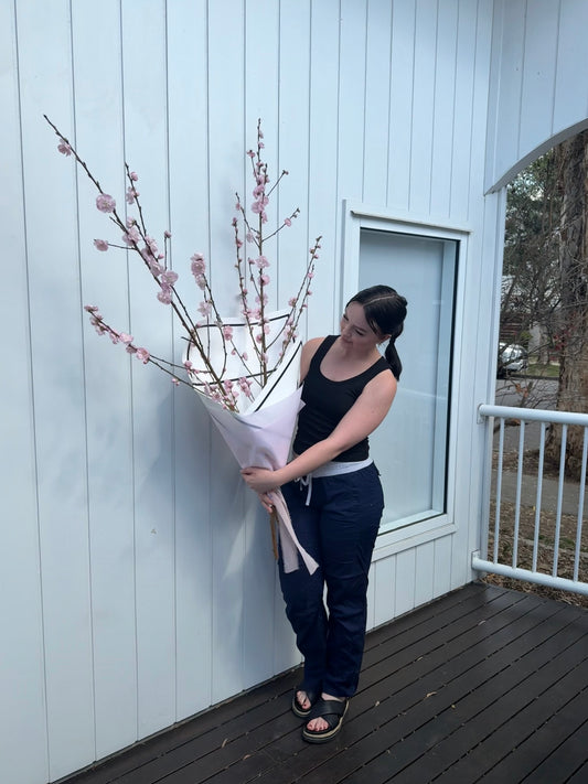 Cherry Blossoms