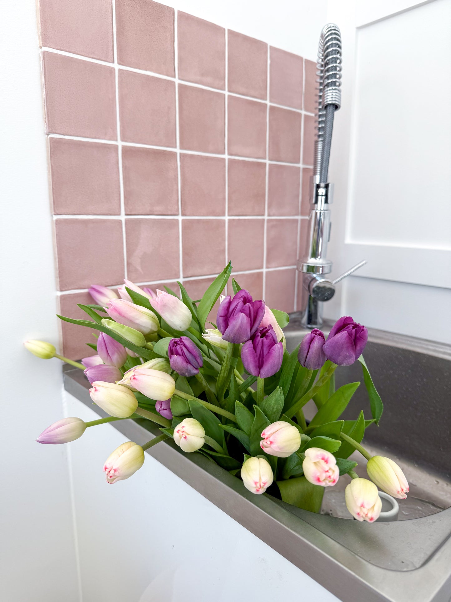 Tulips